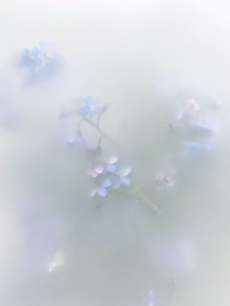 Soft blue flowers behind frosted glass