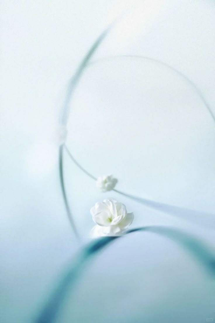Water flower for collaboration outcome