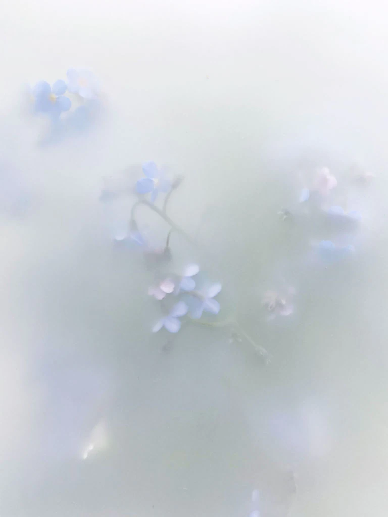 Soft flowers for creator outcome